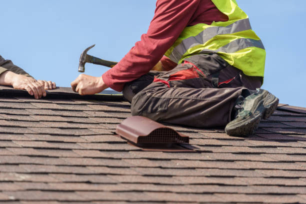 Best Roof Gutter Cleaning  in Benld, IL
